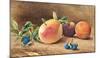 Study Of Fruit, 1877-John William Hill-Mounted Art Print