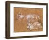 Study of Goats-Thomas Gainsborough-Framed Giclee Print