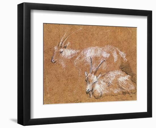 Study of Goats-Thomas Gainsborough-Framed Giclee Print