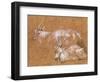 Study of Goats-Thomas Gainsborough-Framed Giclee Print