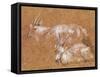 Study of Goats-Thomas Gainsborough-Framed Stretched Canvas