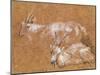Study of Goats-Thomas Gainsborough-Mounted Giclee Print