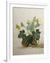 Study of Gourds and Flowers-Pieter Withoos-Framed Giclee Print