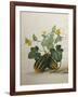 Study of Gourds and Flowers-Pieter Withoos-Framed Giclee Print