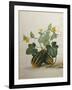 Study of Gourds and Flowers-Pieter Withoos-Framed Giclee Print