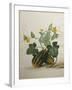 Study of Gourds and Flowers-Pieter Withoos-Framed Premium Giclee Print