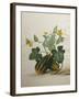 Study of Gourds and Flowers-Pieter Withoos-Framed Premium Giclee Print