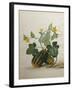 Study of Gourds and Flowers-Pieter Withoos-Framed Premium Giclee Print