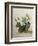 Study of Gourds and Flowers-Pieter Withoos-Framed Giclee Print