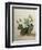 Study of Gourds and Flowers-Pieter Withoos-Framed Giclee Print