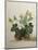 Study of Gourds and Flowers-Pieter Withoos-Mounted Giclee Print