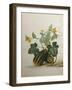 Study of Gourds and Flowers-Pieter Withoos-Framed Giclee Print