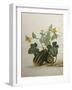 Study of Gourds and Flowers-Pieter Withoos-Framed Giclee Print