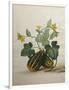 Study of Gourds and Flowers-Pieter Withoos-Framed Premium Giclee Print