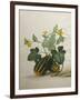 Study of Gourds and Flowers-Pieter Withoos-Framed Giclee Print