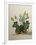 Study of Gourds and Flowers-Pieter Withoos-Framed Giclee Print