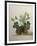 Study of Gourds and Flowers-Pieter Withoos-Framed Giclee Print