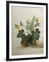 Study of Gourds and Flowers-Pieter Withoos-Framed Giclee Print