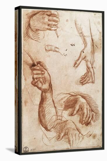 Study of hands drawing, charcoal-Andrea Del Sarto-Stretched Canvas