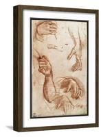 Study of hands drawing, charcoal-Andrea Del Sarto-Framed Giclee Print