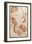 Study of hands drawing, charcoal-Andrea Del Sarto-Framed Giclee Print