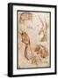 Study of hands drawing, charcoal-Andrea Del Sarto-Framed Giclee Print