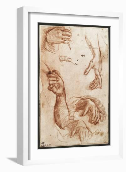 Study of hands drawing, charcoal-Andrea Del Sarto-Framed Giclee Print