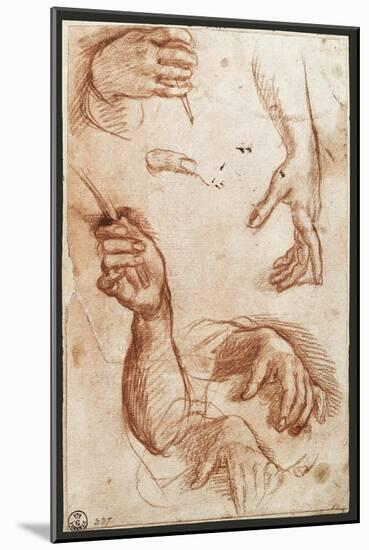 Study of hands drawing, charcoal-Andrea Del Sarto-Mounted Giclee Print