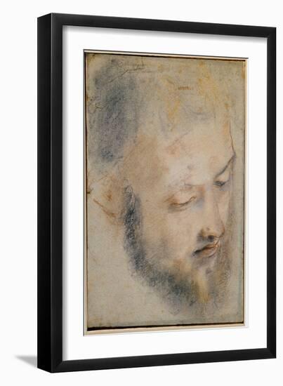 Study of Head (Charcoal on Paper, 1580-1583)-Federico Fiori Barocci or Baroccio-Framed Giclee Print