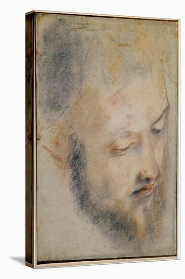 Study of Head (Charcoal on Paper, 1580-1583)-Federico Fiori Barocci or Baroccio-Stretched Canvas