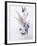 Study of Heather Cornflower and Blossom-Madeleine Lemaire-Framed Giclee Print