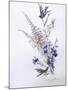 Study of Heather Cornflower and Blossom-Madeleine Lemaire-Mounted Giclee Print