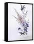 Study of Heather Cornflower and Blossom-Madeleine Lemaire-Framed Stretched Canvas