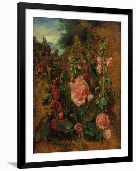 Study of Hollyhocks, C.1826 (Oil on Board)-John Constable-Framed Giclee Print