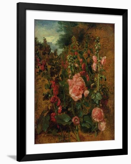 Study of Hollyhocks, C.1826 (Oil on Board)-John Constable-Framed Giclee Print