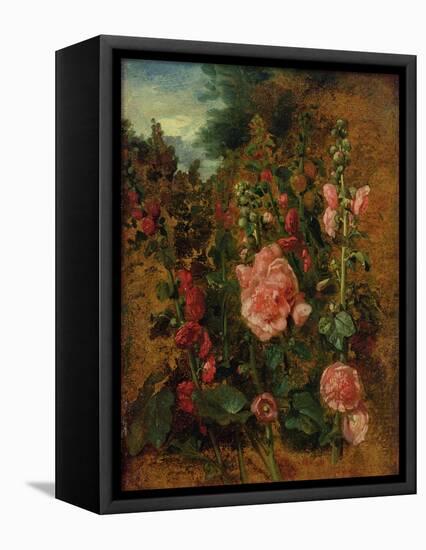 Study of Hollyhocks, C.1826 (Oil on Board)-John Constable-Framed Stretched Canvas