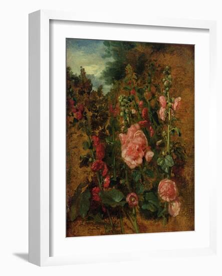 Study of Hollyhocks, C.1826 (Oil on Board)-John Constable-Framed Giclee Print