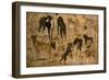 Study of Hounds, 1616-Jan Brueghel the Elder-Framed Giclee Print