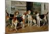 Study of Hounds-John Emms-Mounted Giclee Print