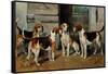 Study of Hounds-John Emms-Framed Stretched Canvas