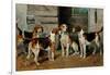 Study of Hounds-John Emms-Framed Giclee Print