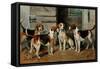 Study of Hounds-John Emms-Framed Stretched Canvas