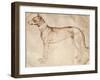 Study of Hunt Dog-Antonio Pisano-Framed Giclee Print