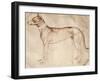 Study of Hunt Dog-Antonio Pisano-Framed Giclee Print