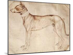 Study of Hunt Dog-Antonio Pisano-Mounted Giclee Print