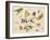 Study of Insects, Flowers and Fruits-Ferdinand van Kessel-Framed Giclee Print