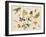 Study of Insects, Flowers and Fruits-Ferdinand van Kessel-Framed Giclee Print