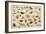 Study of Insects-Jan Van, The Elder Kessel-Framed Giclee Print