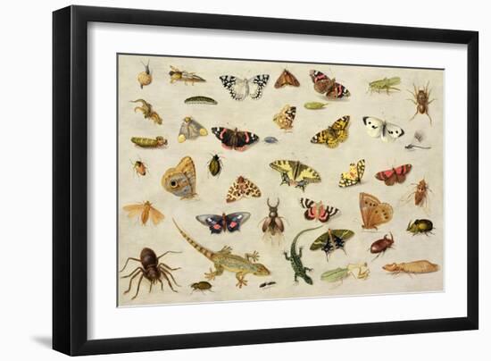 Study of Insects-Jan Van, The Elder Kessel-Framed Giclee Print