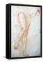 Study of Legs-Jacopo Carucci-Framed Stretched Canvas